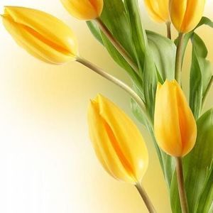 Meet your Posher, Lucille